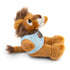 Custom Photo Festive Poinsettia Stuffed Animals with Tee